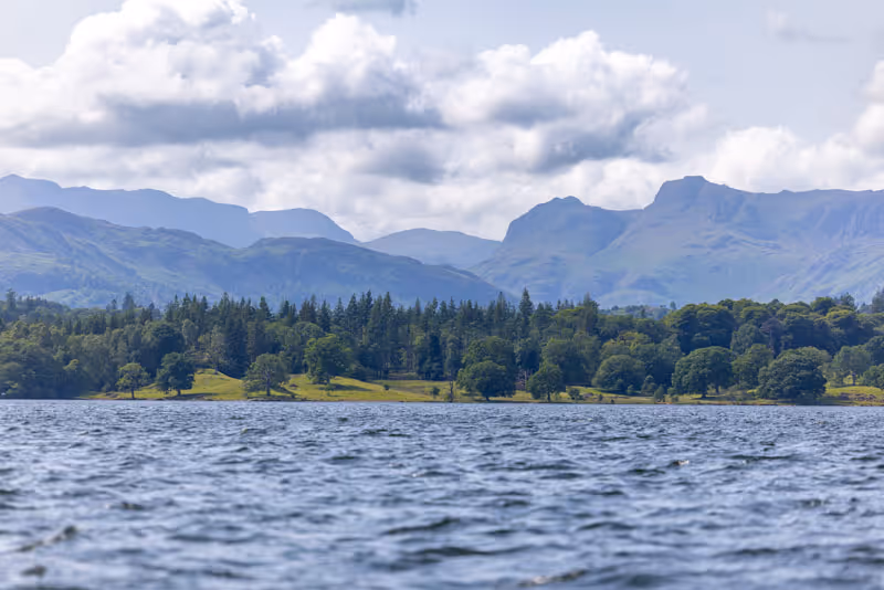 How to Sight & Stay on Course in Open Water