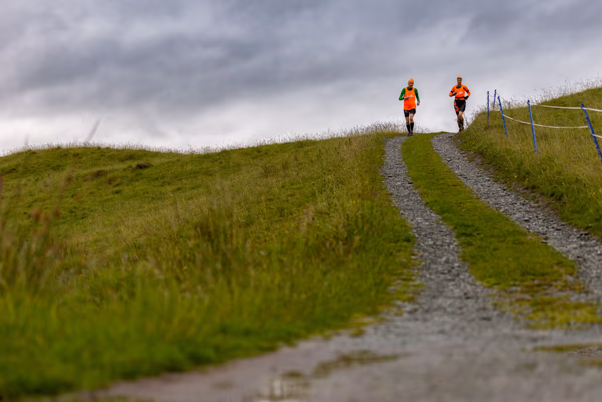 gallery image thumbnail