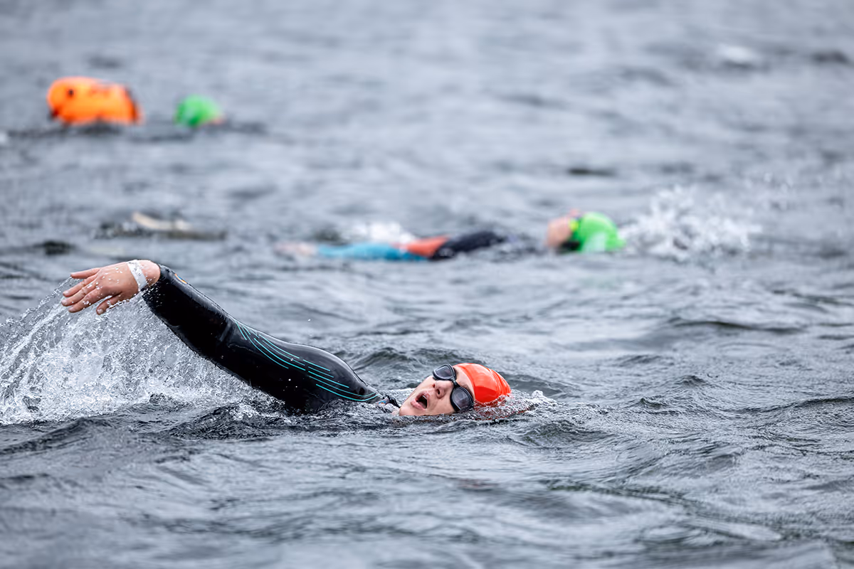 gallery image thumbnail